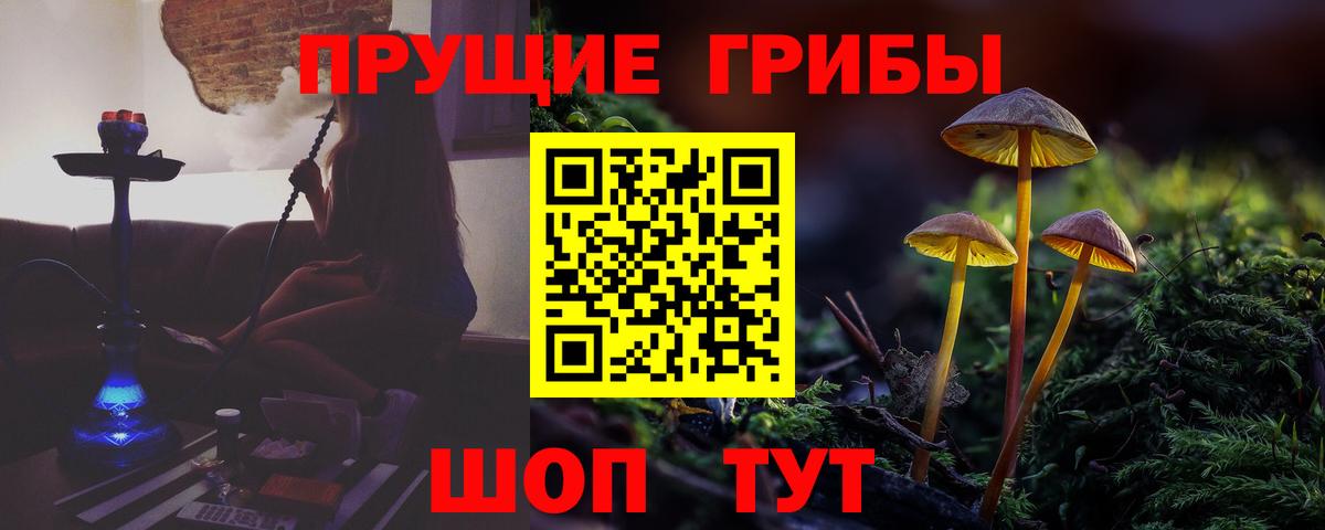 APVP Советск